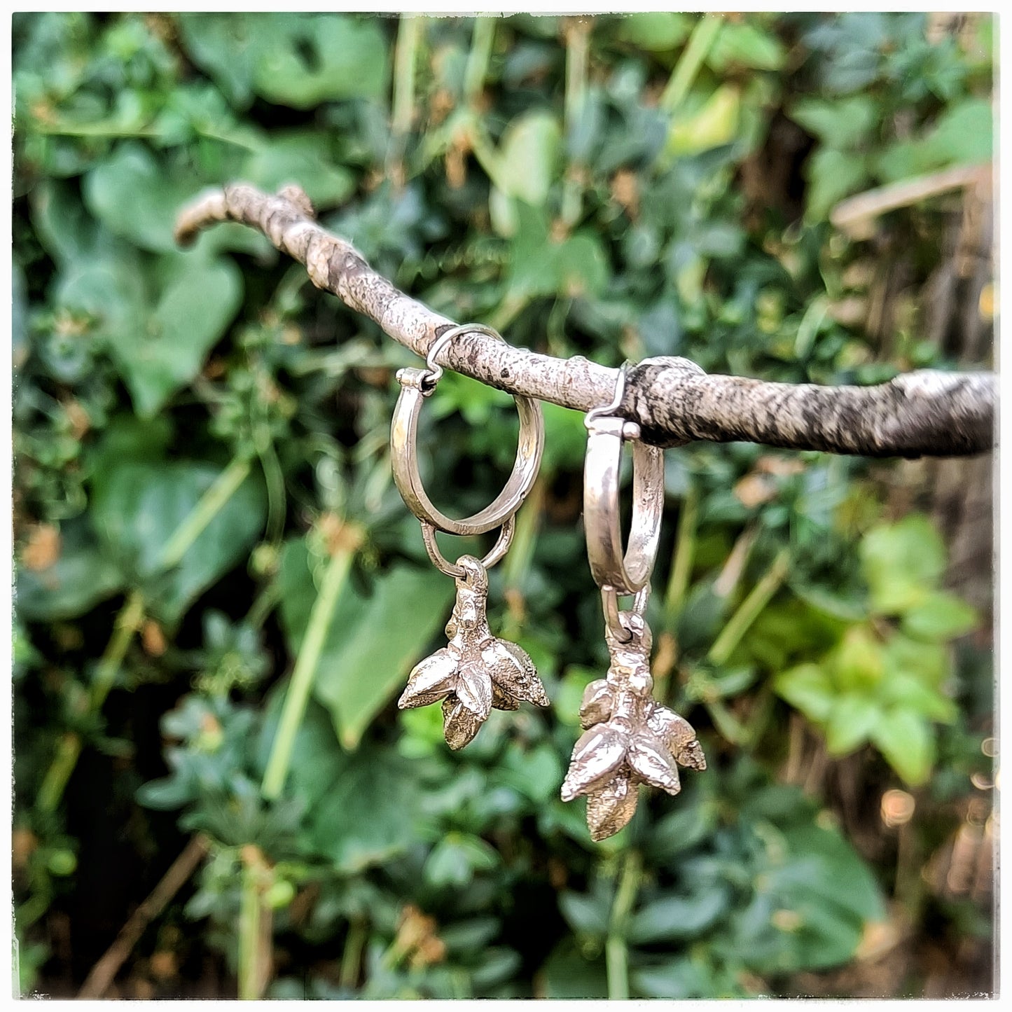 Oak bloom hoops