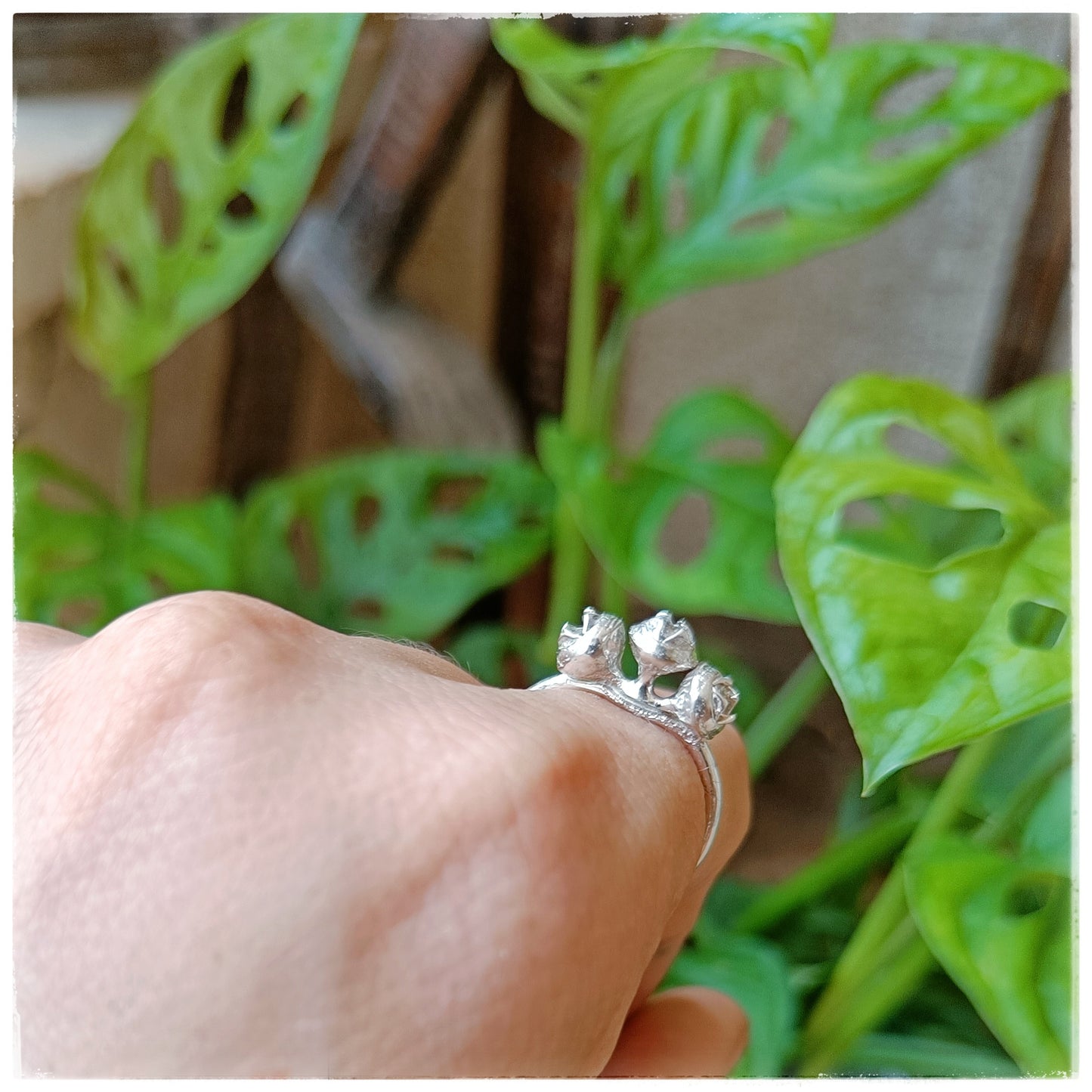 Eucalyptus ring