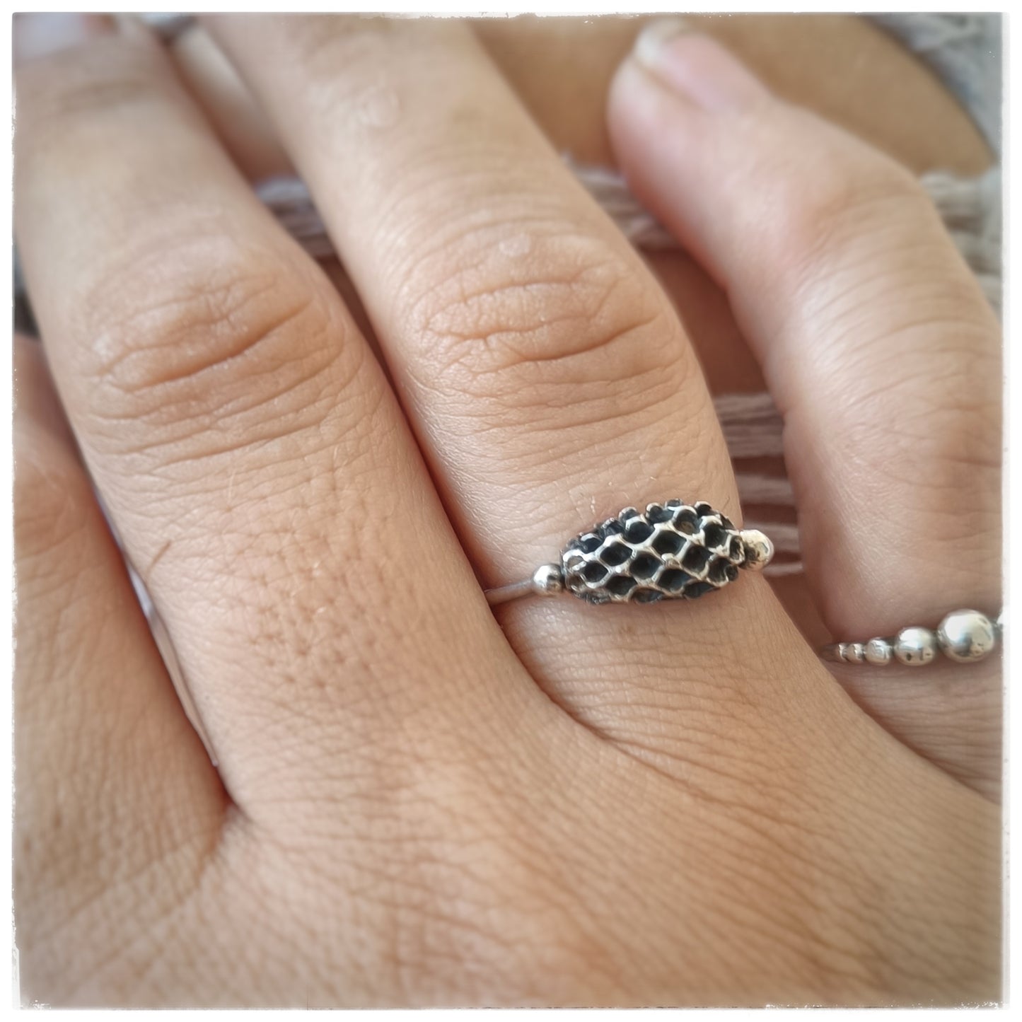 Casuarina ring