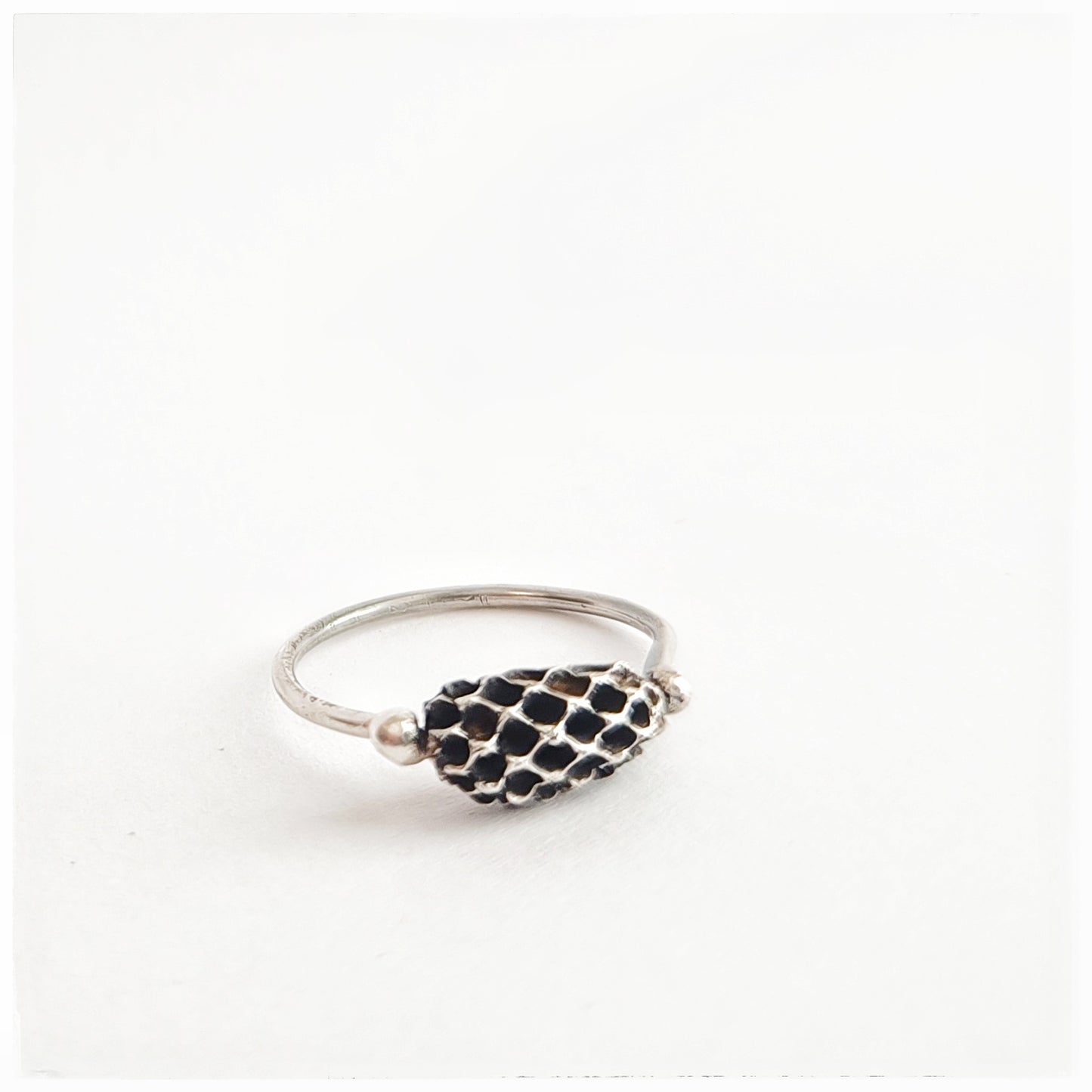 Casuarina ring